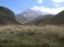 Imagen Reserva Chimborazo